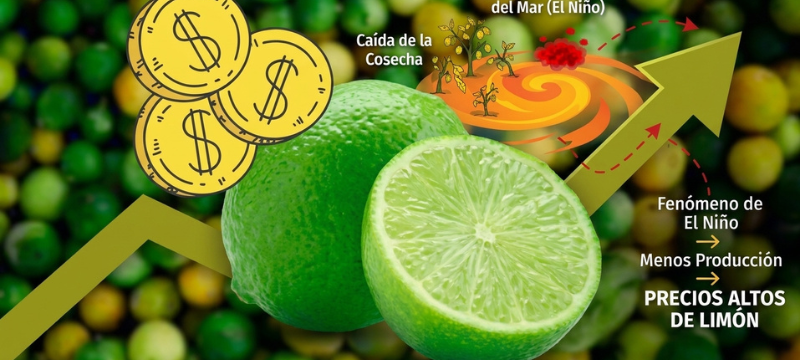 Un limón gigante con la pastilla +70 % y la etiqueta S/ 20 el kilo junto a un calendario de agosto de 2023; Verde, el billete de dólar, pequeño a un lado con la pastilla +3 %, y Luca, la moneda de un sol, sorprendido con un limón en la mano. El limón subió 70 % en un mes por el calor y la lluvia de El Niño que arruinaron la cosecha en Piura y Lambayeque, no por el dólar: eso es inflación de alimentos, no tipo de cambio.
