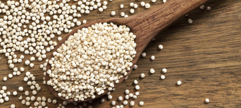 Perú productor de quinoa, exportador mundial quinoa, crecimiento ventas quinoa Perú, agricultores altoandinas quinoa