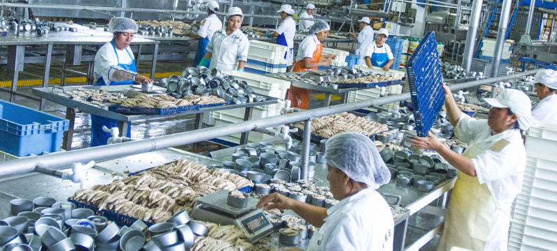 Economía Peruana 2024, Crecimiento Económico Peru, Banco Central de Reserva, Ministerio de Economía y Finanzas, Instituto Nacional de Estadística e Informática